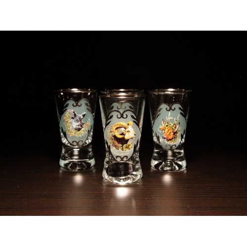 Набір Jagerglass Пляшка + склянки для лікеру 4 шт. М67 Фото 2